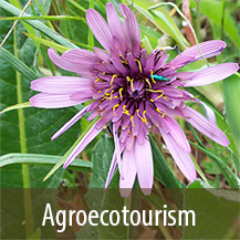 Agroecoturism